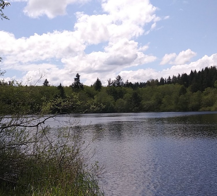 gibbs-lake-county-park-photo